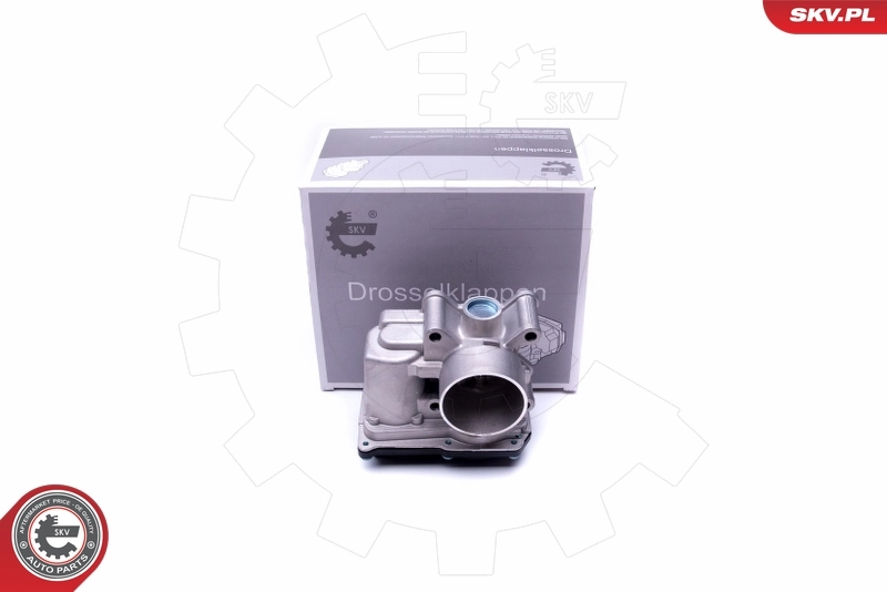 Throttle Body